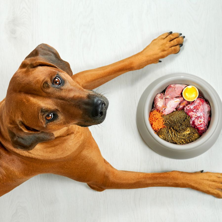 Dietary Recommendations